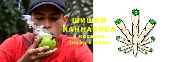 дурь Горно-Алтайск