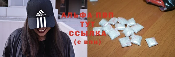 спиды Вязьма